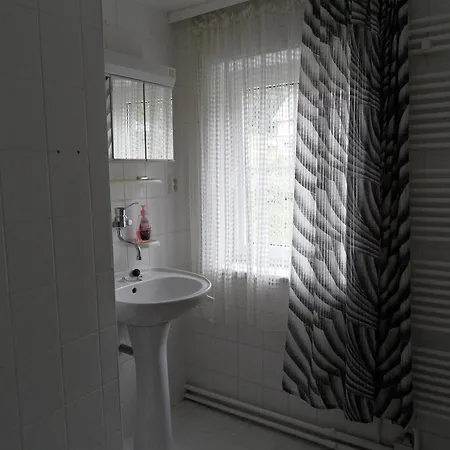 Spicak Апартаменты Железна-Руда