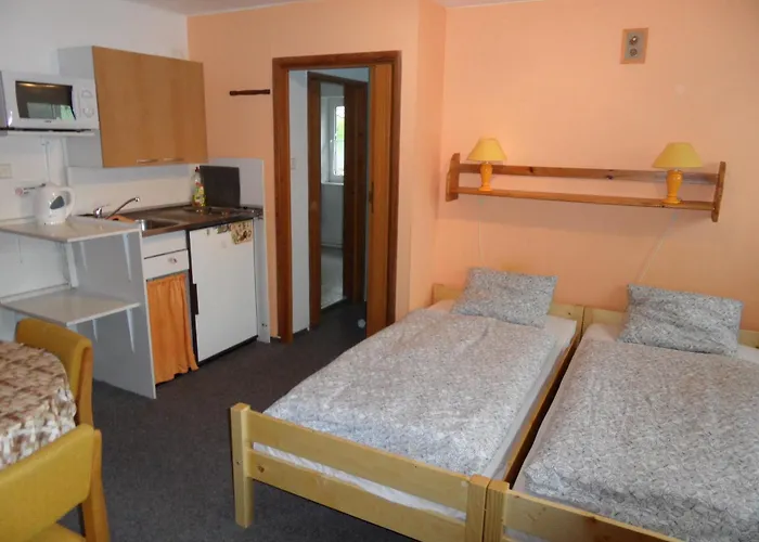 Spicak Appartement Železná Ruda